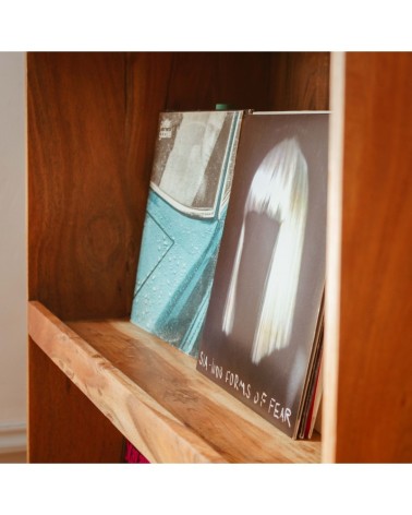 bibliothèque vinyles