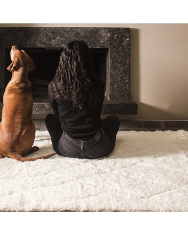 tapis pour salon